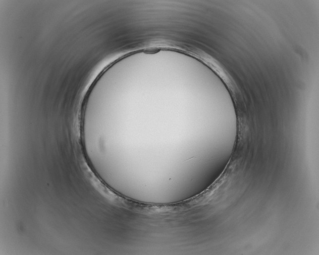 X0000112051148200909010937