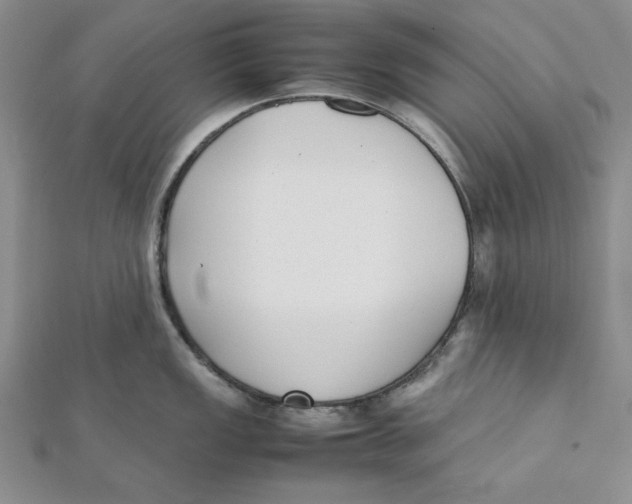 X0000112051149200909010937