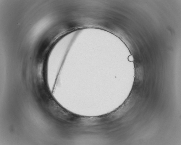 X0000112051150200909010937