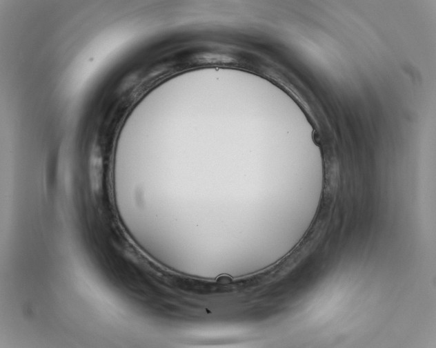X0000112051151200909010937