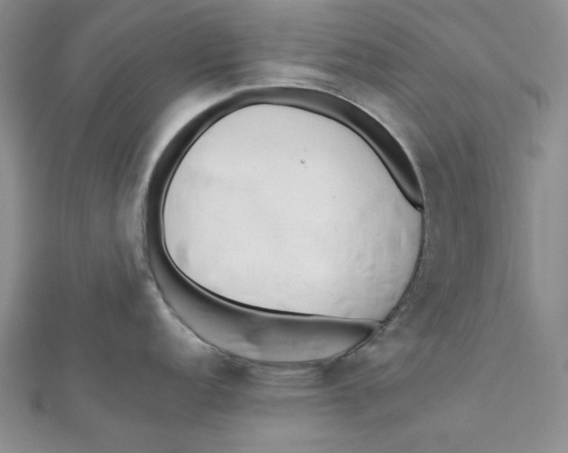 X0000112051152200909010937