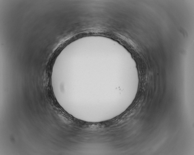 X0000112051160200909010936