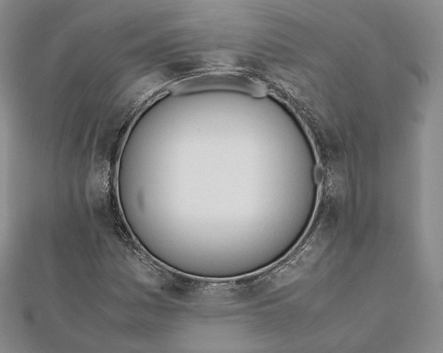 X0000112051161200909010936