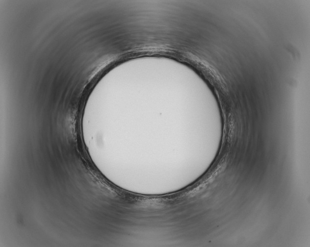 X0000112051162200909010936