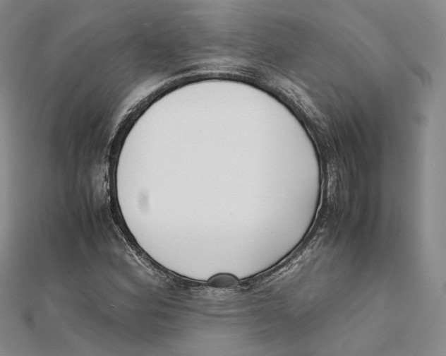 X0000112051164200909010936