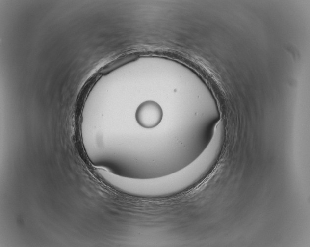 X0000112051165200909010936