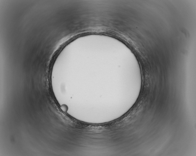 X0000112051168200909010936