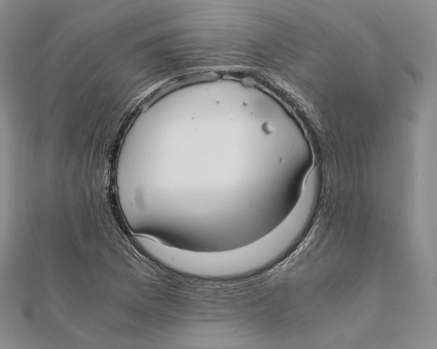 X0000112051169200909010936