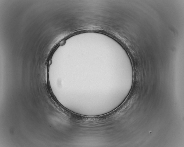 X0000112051171200909010936