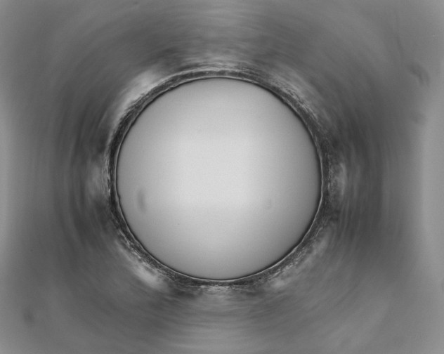 X0000112051172200909010936