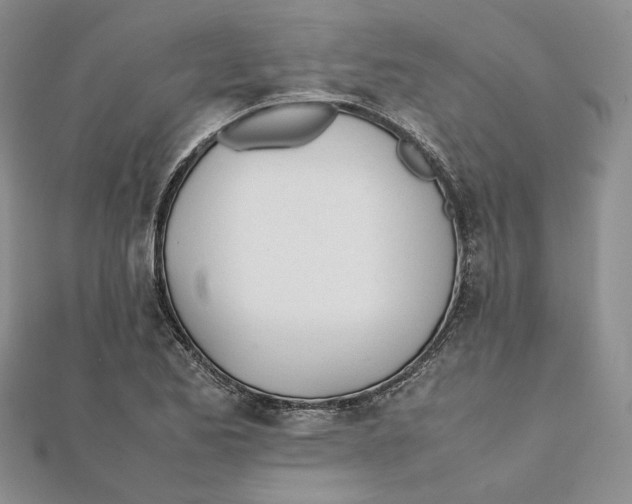 X0000112051173200909010936