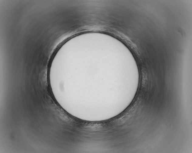 X0000112051174200909010936