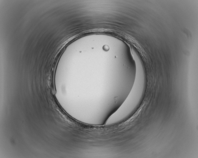 X0000112051177200909010936