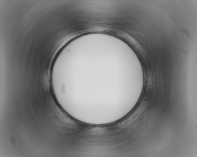 X0000112051178200909010936