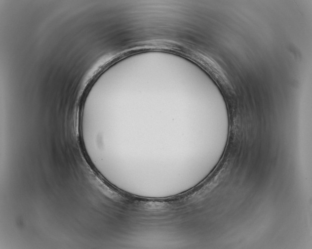 X0000112051180200909010936
