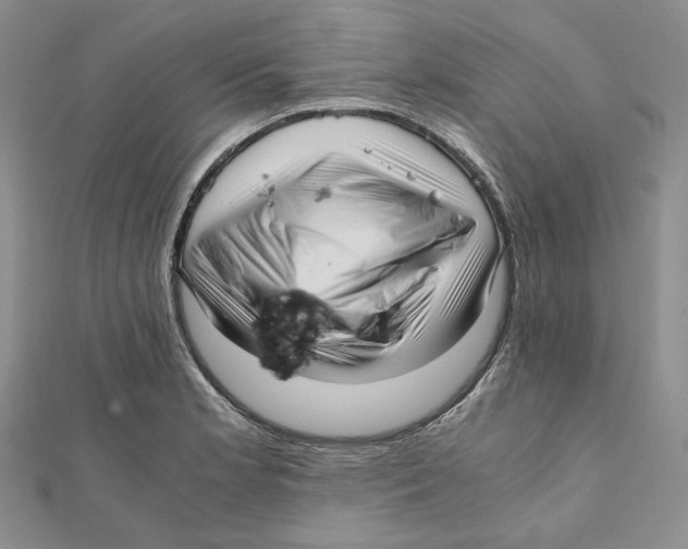X0000112051181200909010936