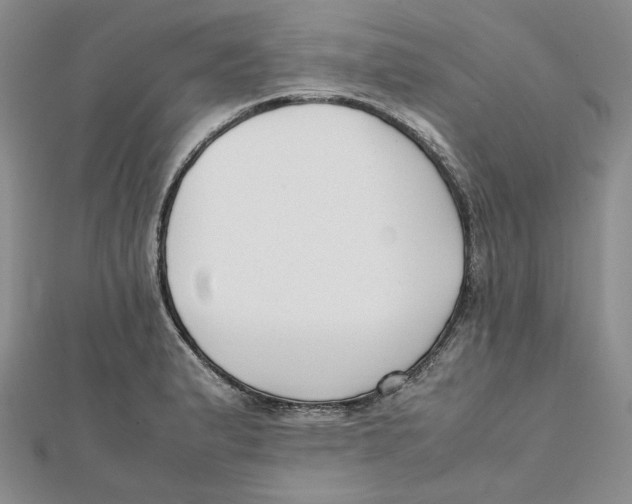 X0000112051183200909010936