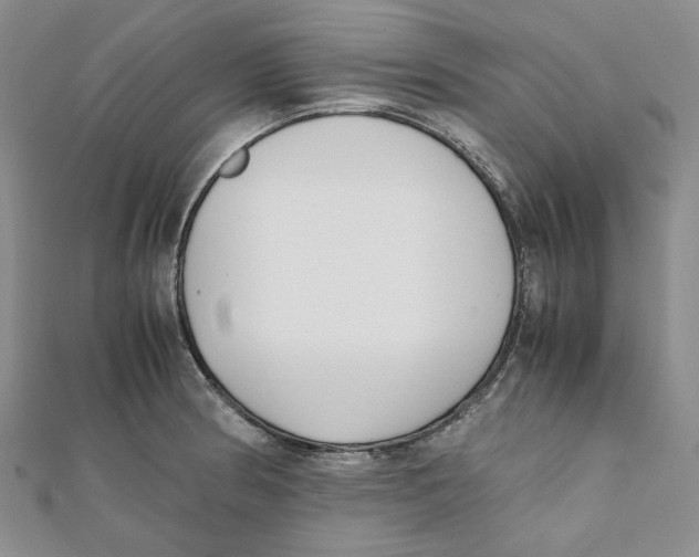 X0000112051186200909010936