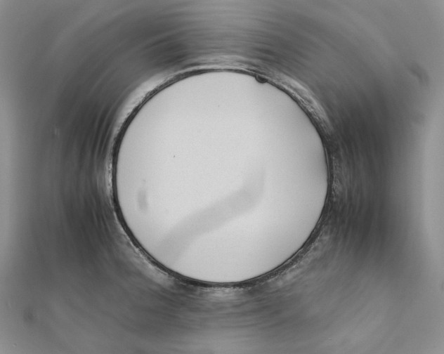 X0000112051188200909010936