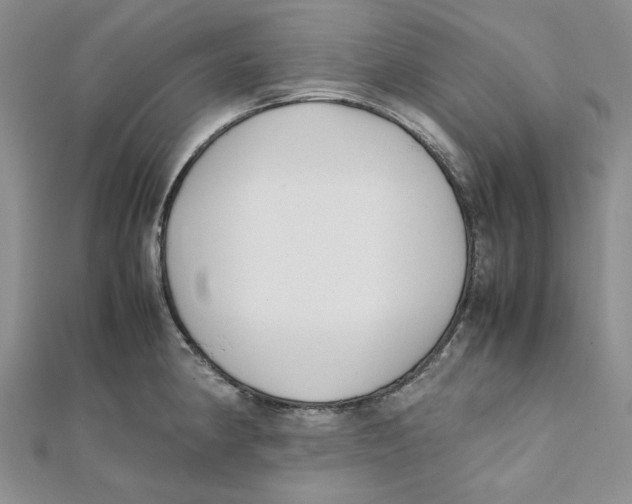 X0000112051190200909010936