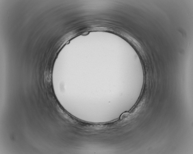 X0000112051193200909010936