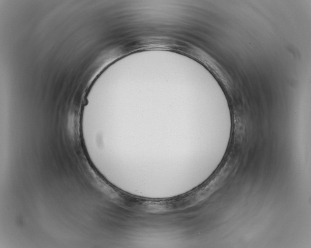 X0000112051194200909010936