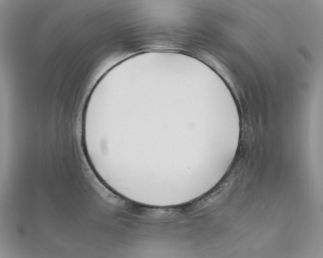 X0000112051195200909010936