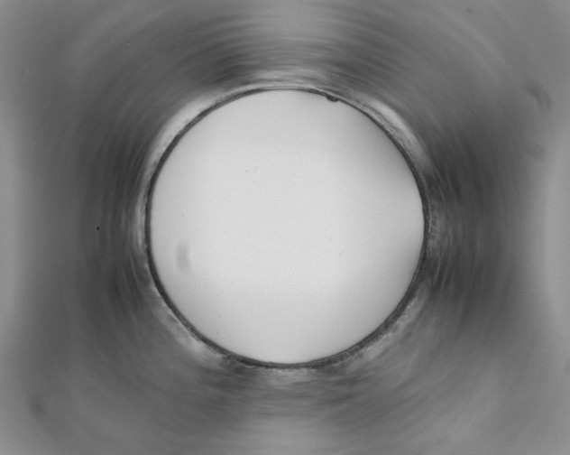 X0000112051196200909010936