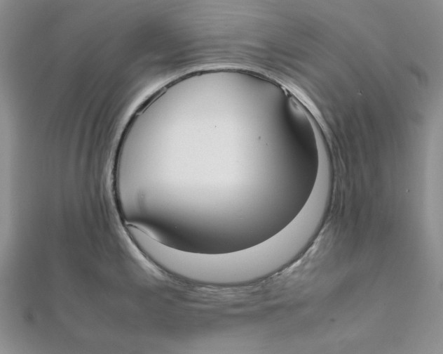 X0000112051197200909010936