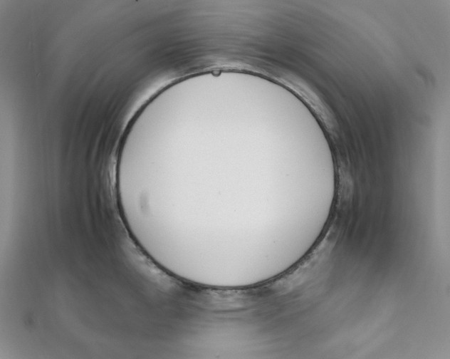 X0000112051198200909010936