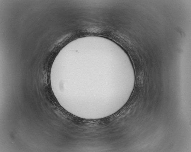 X0000112051205200909010935