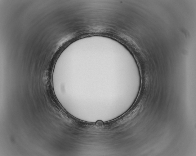 X0000112051210200909010935