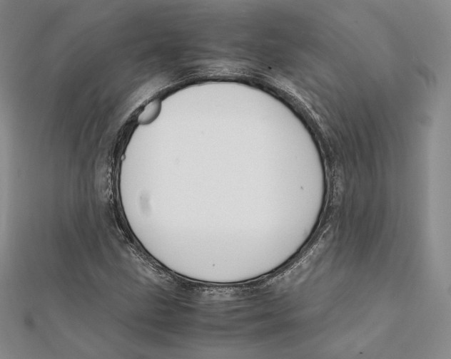 X0000112051211200909010935