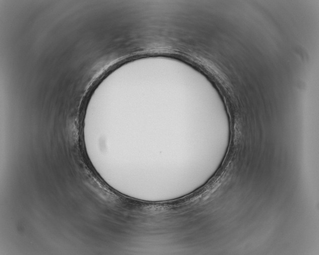 X0000112051212200909010935
