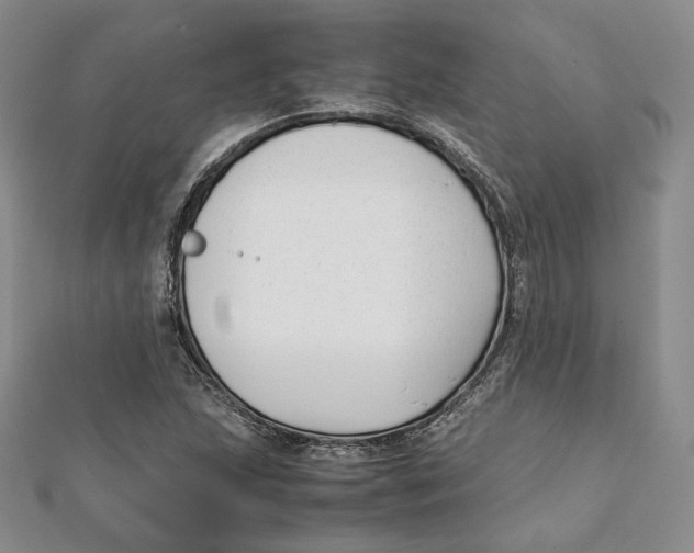 X0000112051215200909010935