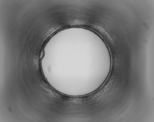 X0000112051217200909010935