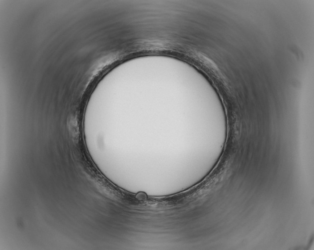 X0000112051218200909010935