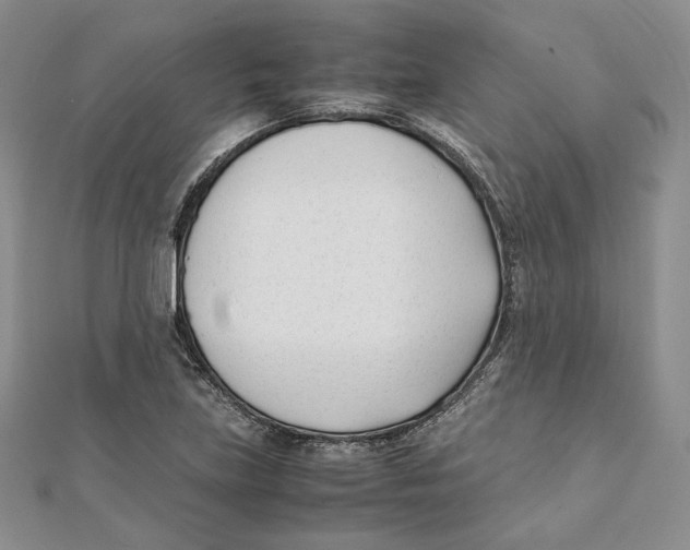 X0000112051219200909010935