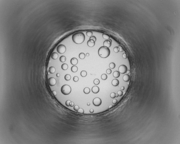 X0000112051220200909010935