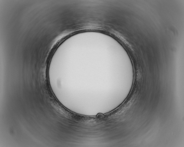 X0000112051222200909010935