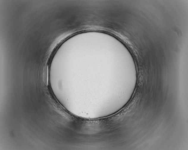 X0000112051223200909010935