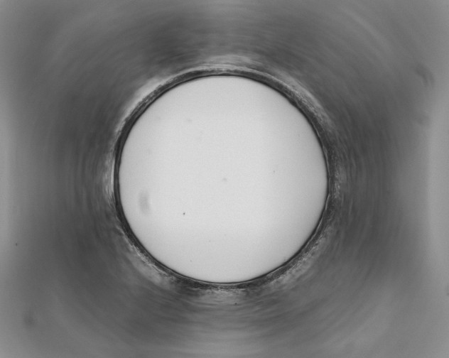 X0000112051224200909010935
