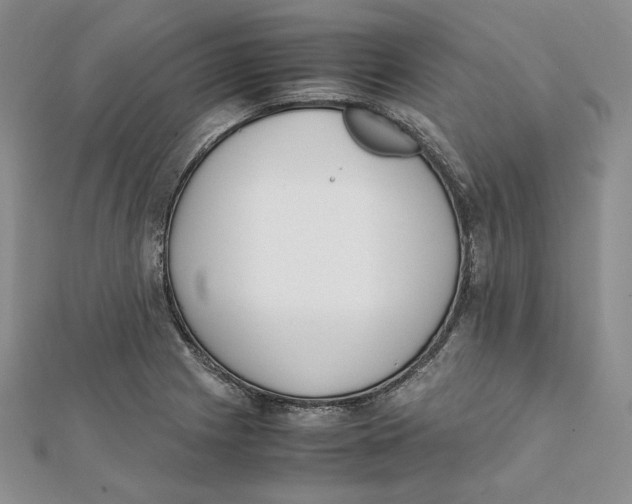 X0000112051225200909010935