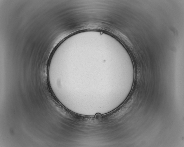 X0000112051226200909010935