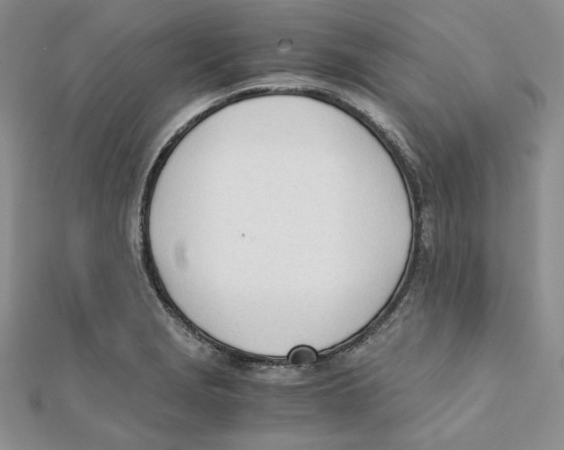 X0000112051229200909010935