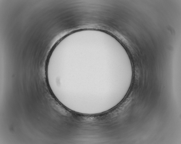 X0000112051230200909010935