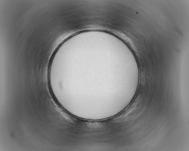 X0000112051231200909010935