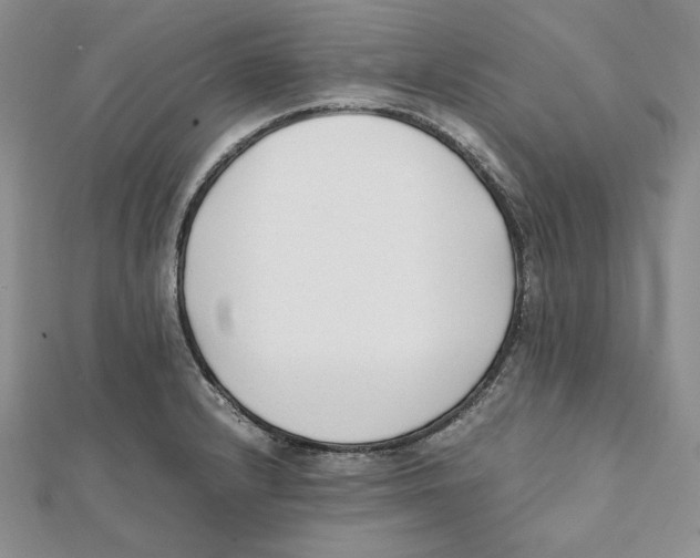 X0000112051232200909010935