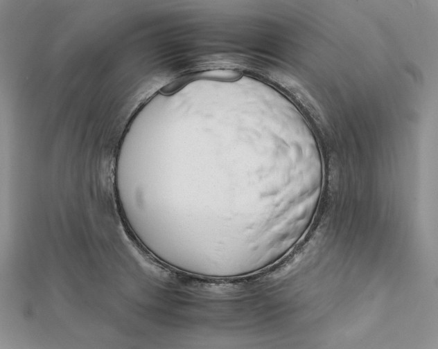 X0000112051233200909010936