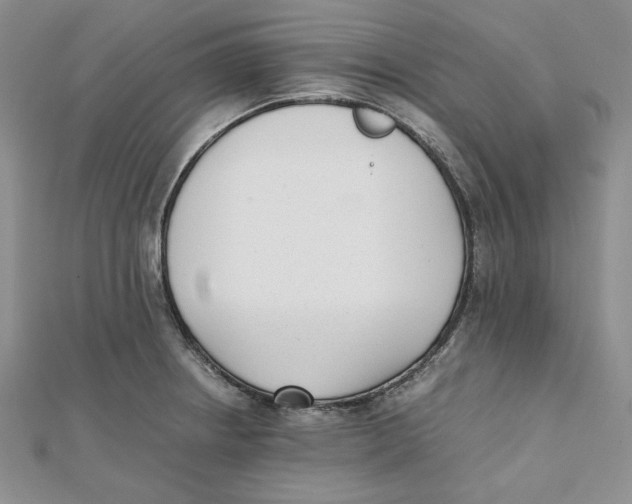 X0000112051234200909010936